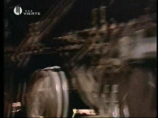 Playboy´s Wet & Wild