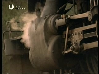 Playboy´s Wet & Wild