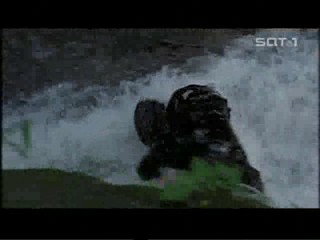 The Mysterious Island