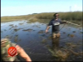 Lebe Deinen Traum (Live your dream), #2