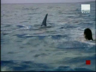 Huey Lewis & The News - Stuck With You