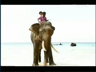 Travel Channel Documentary