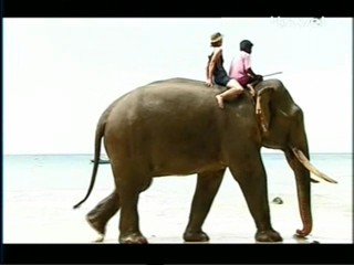 Travel Channel Documentary