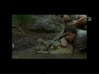 Crocodile Hunter â€“ Auf Crash-Kurs