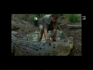 Crocodile Hunter â€“ Auf Crash-Kurs