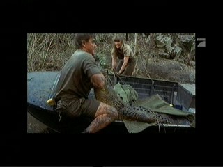 Crocodile Hunter â€“ Auf Crash-Kurs