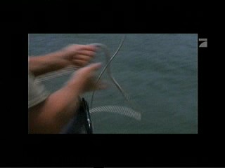 Crocodile Hunter â€“ Auf Crash-Kurs