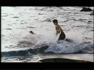 Kampf auf der Todesinsel (Iguana)