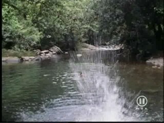 The New Swiss Family Robinson, #1/2