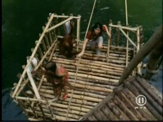 The New Swiss Family Robinson, #2/2