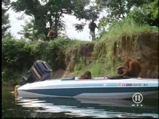 The New Swiss Family Robinson, #2/2