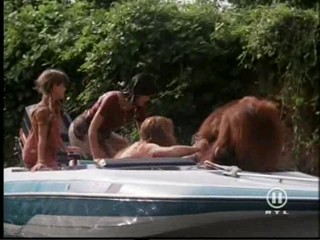 The New Swiss Family Robinson, #2/2