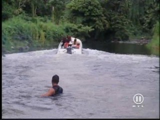 The New Swiss Family Robinson, #2/2