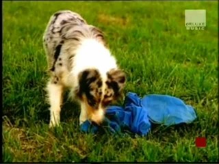 Erykah Bado -  On & On