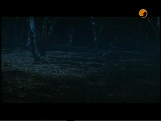 I Still Know What You Did Last Summer