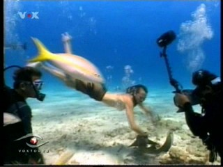 Voxtours - Dominican Republic