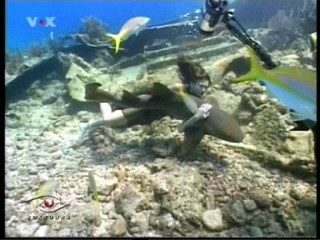 Voxtours - Dominican Republic