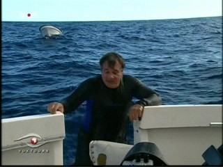 Voxtours - Dominican Republic