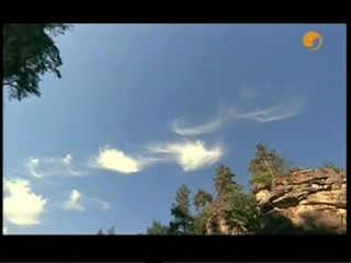 37,2 Degre Le Matin (Betty Blue)