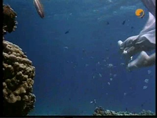 The Finest Hour, # 2/2