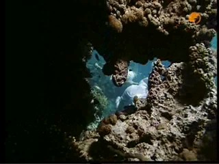 The Finest Hour, # 2/2