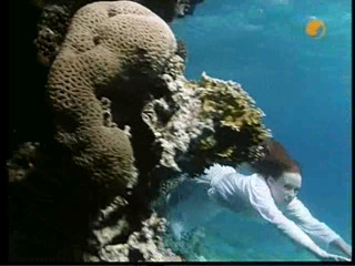 The Finest Hour, # 2/2