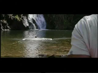 Welcome to the Jungle (uk) / The Rundown (US)