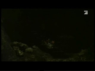 Cascadeur - Die Jagd nach dem Bernsteinzimmer