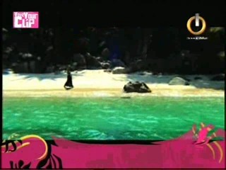 Kate Ryan Je TÂ´adore