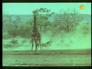 TarzanÂ´s Greatest Adventure