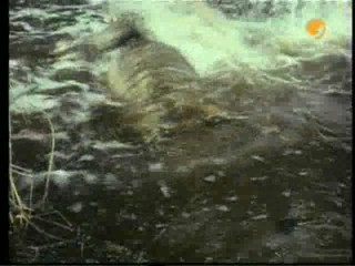 TarzanÂ´s Greatest Adventure