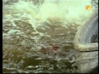 TarzanÂ´s Greatest Adventure