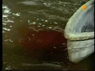 TarzanÂ´s Greatest Adventure