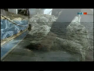 Donna Leon - Das Gesetz der Lagune