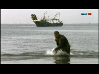 Donna Leon - Das Gesetz der Lagune