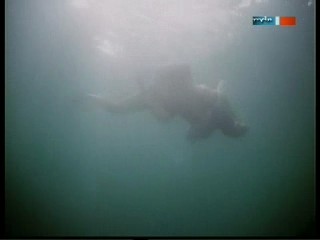 Polizeiruf 110 - Falscher Jasmin