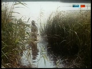 Polizeiruf 110 - Falscher Jasmin