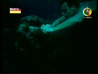 Sarah Connor - Skin On Skin