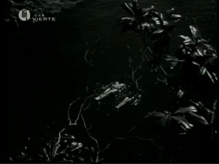 Tarzan's Secret Treasure