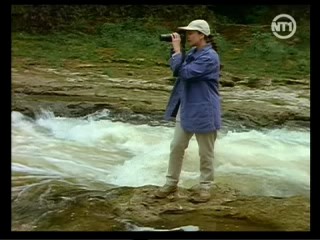 Treacherous Beauties