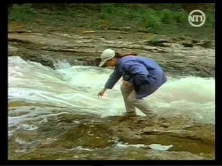 Treacherous Beauties