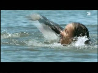 Zoop in South America (1)