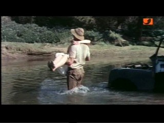 The Gods Must Be Crazy