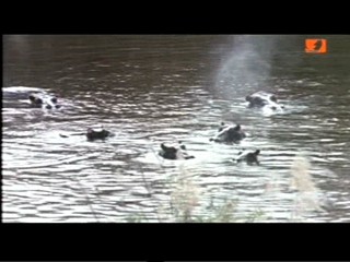 The Gods Must Be Crazy