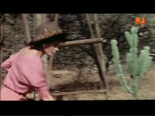 The Gods Must Be Crazy 2