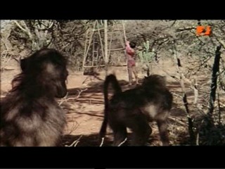 The Gods Must Be Crazy 2