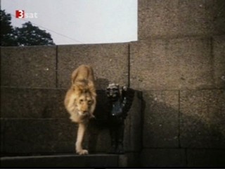 Die unglaubwÃ¼rdiger Abenteuer der Italiener in Russland