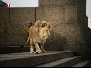 Die unglaubwÃ¼rdiger Abenteuer der Italiener in Russland