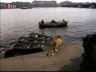 Die unglaubwÃ¼rdiger Abenteuer der Italiener in Russland