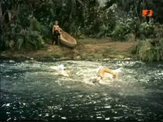 TarzanÂ´s Fight For Life